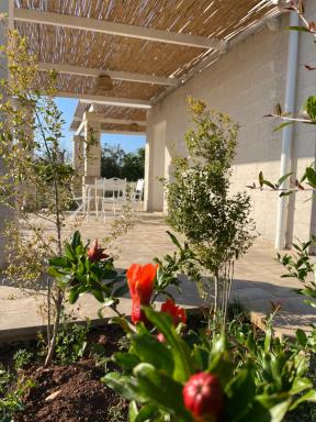 Bellamora country apartments - Housity