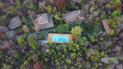 Saj In The Forest, Pench - Housity