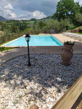 Azienda Agrituristica Il Moraiolo - Hizvo