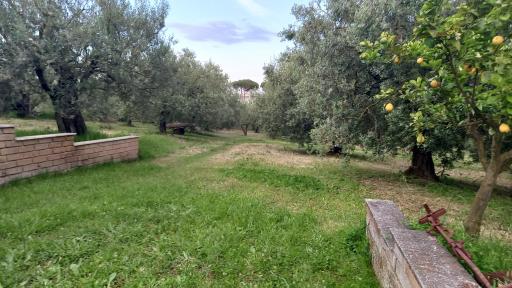 Domus Claudio in Villam - Housity