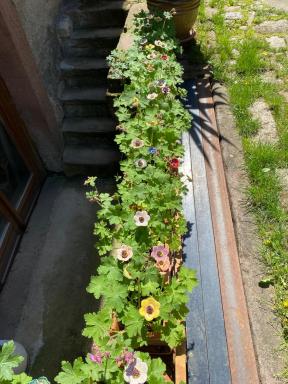 Le Cocon du Potier - Housity