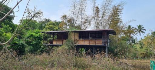 Deep Jungle Home Bandipur Mudumalai - Housity