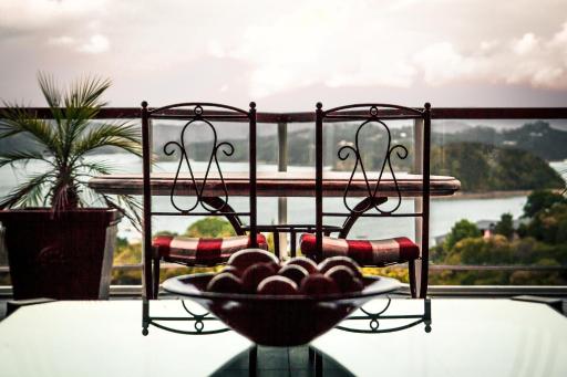 Sanctuary Palms - Hizvo
