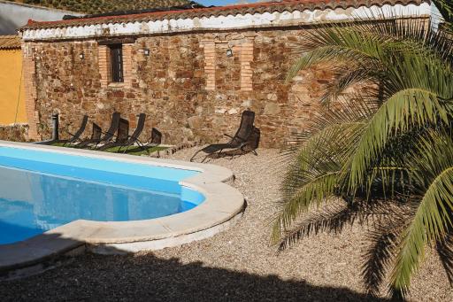 Experience Alpacas in Andalucia - Housity