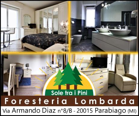 Sole tra i pini - foresteria lombarda - Housity