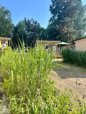 Ośrodek Wypoczynkowy Flora- Firlej - Housity