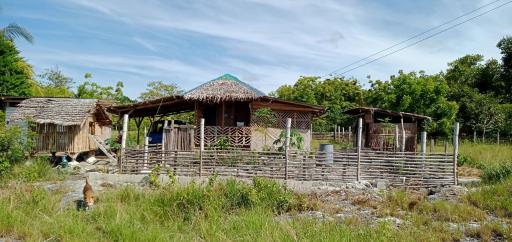 Homestead Farm Payag/Bahay Kubo - Housity