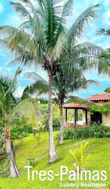 Tres-Palmas Pedasi - Housity