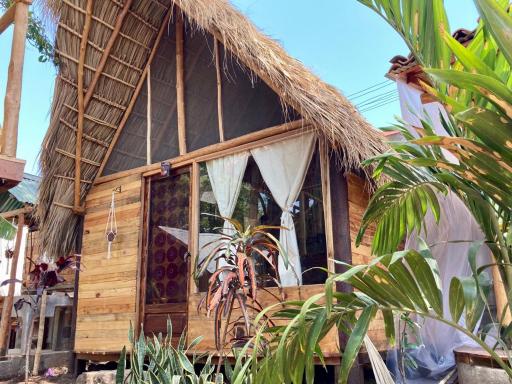 Casa Caracola - Housity