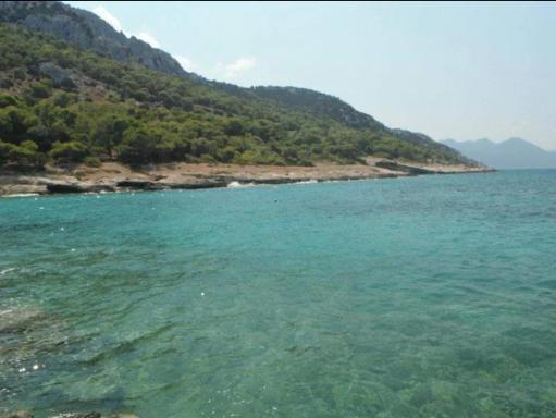 Villa rental - Housity