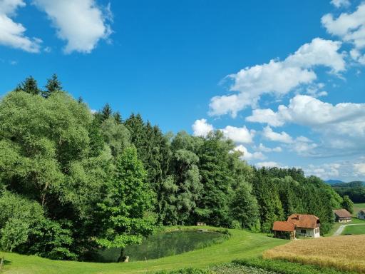 Holiday house apartment Voukov mlin - Housity