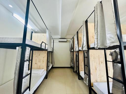 Majestic Hostel - Tour & Motorbike Rental - Housity