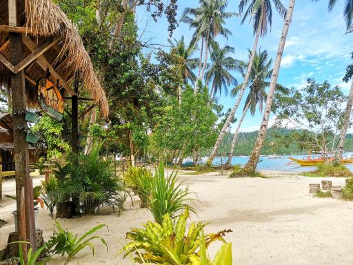 Besaga Beachfront B&B - Port Barton - Housity