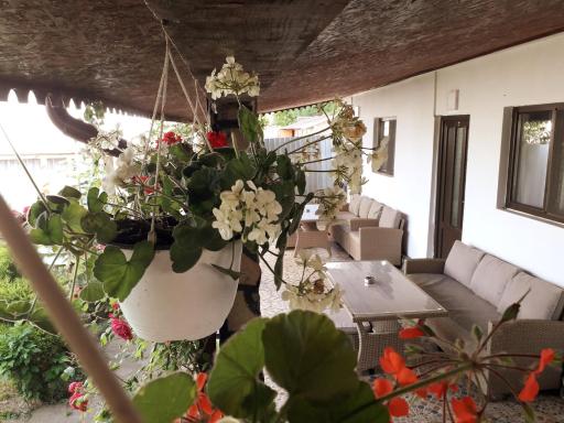 Casa Chitu - Housity