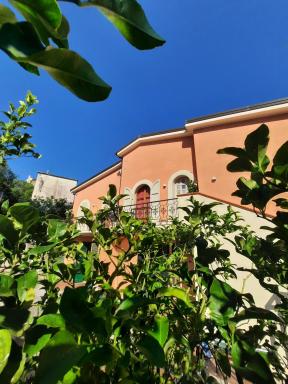 Casa vacanza L'arte di Ba' - Maison - Housity