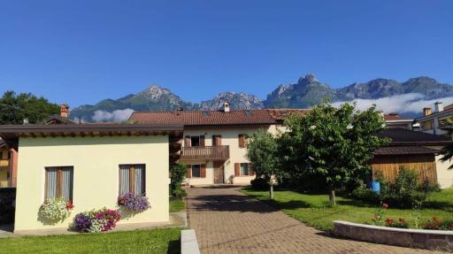 Glicine delle Dolomiti - Housity