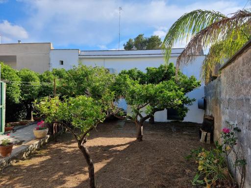Casa Vacanze Nonna Maria - Housity