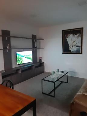 Tres Chihuahuas 3 - Housity