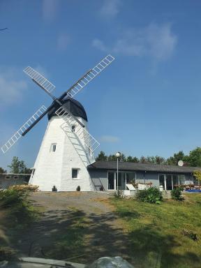 Apartamenty Molle - Housity