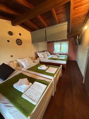 Green Olive Studios 3 - Housity