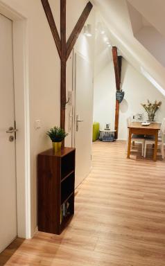 HD-Appartment mit Neckar- und Schlossblick - Housity