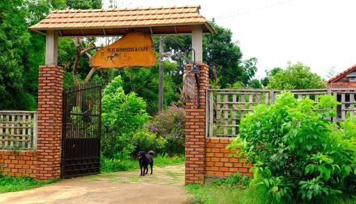 Plei Homestay & Café - Housity