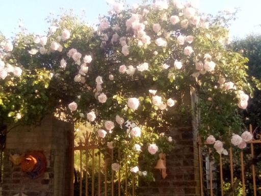 La Grille Fleurie, chambres d'hôte chez l'habitant - Housity