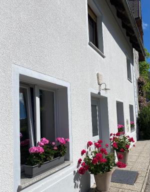 House Natura with garden - Housity