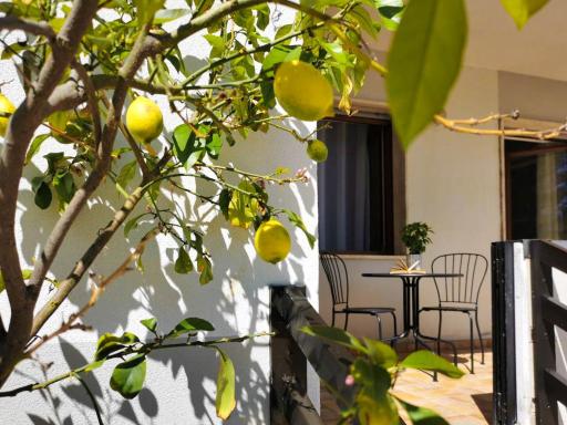 Lily House - Housity