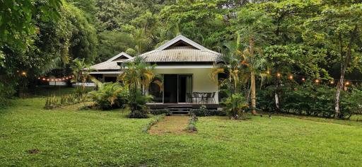 Armadillo Eco Bungalows - Santa Teresa - Housity