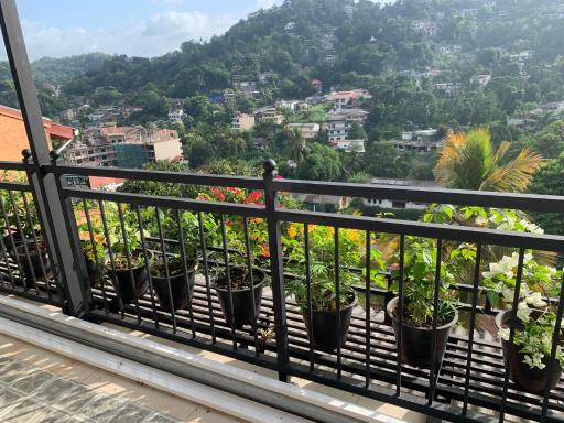 Luxury apartment The Walkers Nest - Housity