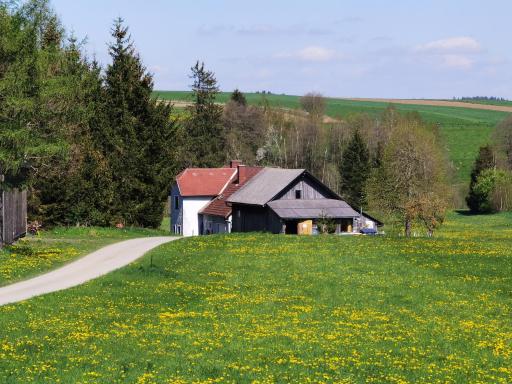 Landhaus auf der Alm - Housity