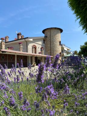 B&B Torre in Langa - Housity