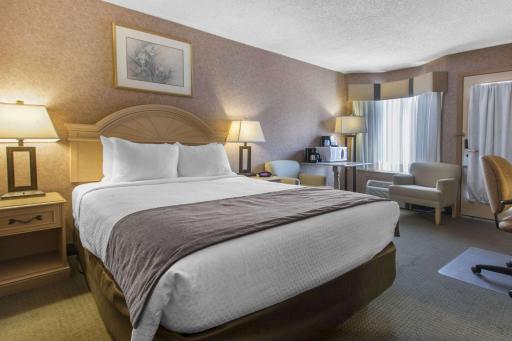 Flamingo Hotel - Housity