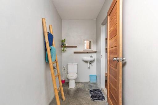 Surfer Garden - Housity