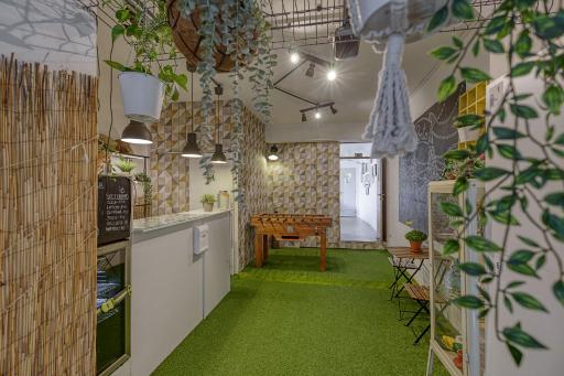 Travel & Live Porto Hostel - Housity