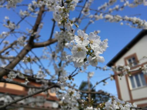 Villa tra i laghi - Housity