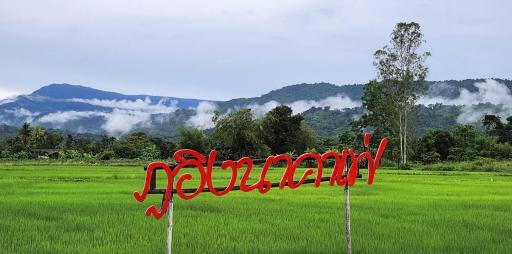 ภูอิงนาคาเฟ่&รีสอร์ท - Housity