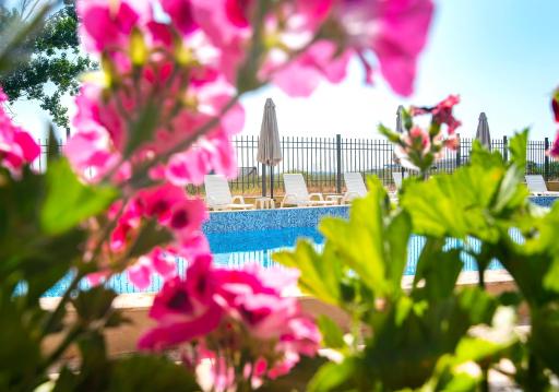 Royal Marina Beach - Housity