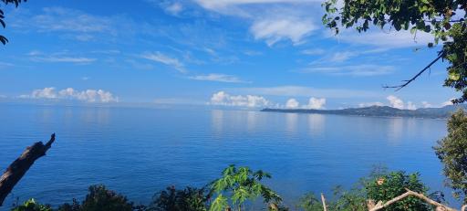 Bohol-Lahoy Dive Resort - Housity