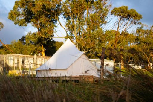 Mini Acres Farm Stay - Housity