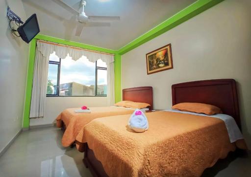 Imperio Amazonico - Housity