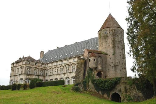 Chateau de Frasne - Housity