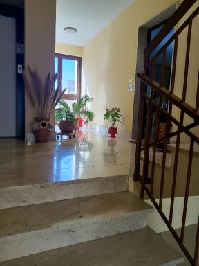 D'Orazio mare e dintorni - Housity