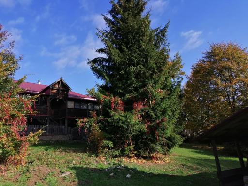 Na Wyraju - Housity