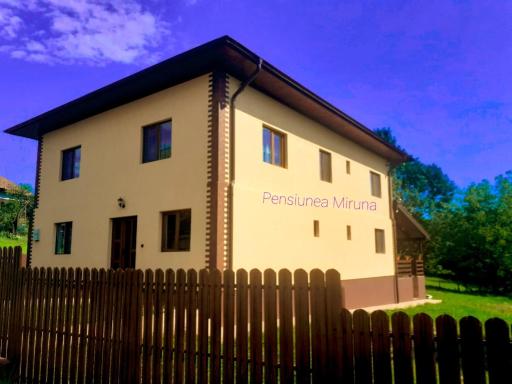 Pensiunea Miruna - Housity