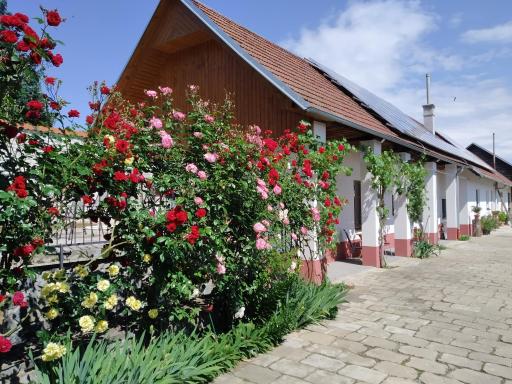 Penzion Na výminku - Housity
