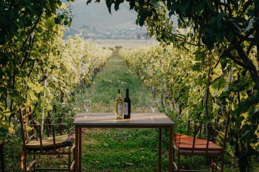 The Barrels Ms - Housity