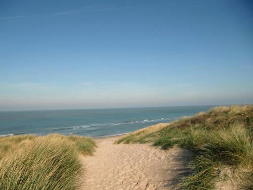 Beachfront De Waterlelie - Housity