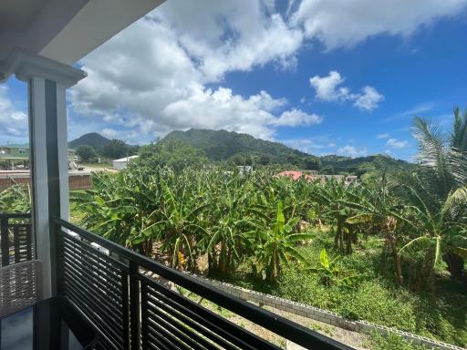 MJay's Place - Housity